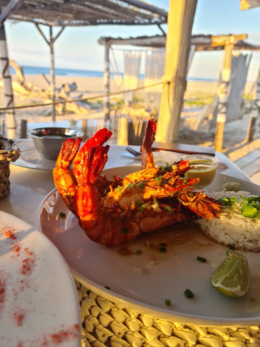 Green Turtle Restaurant In Barra-7